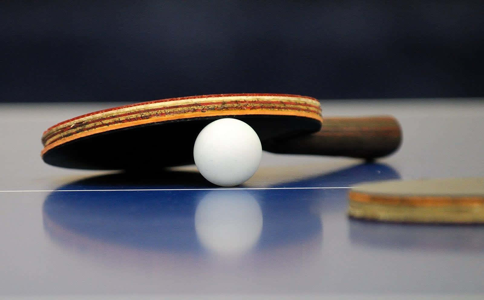 Unaracchetta Da Ping Pong E Una Pallina Bianca