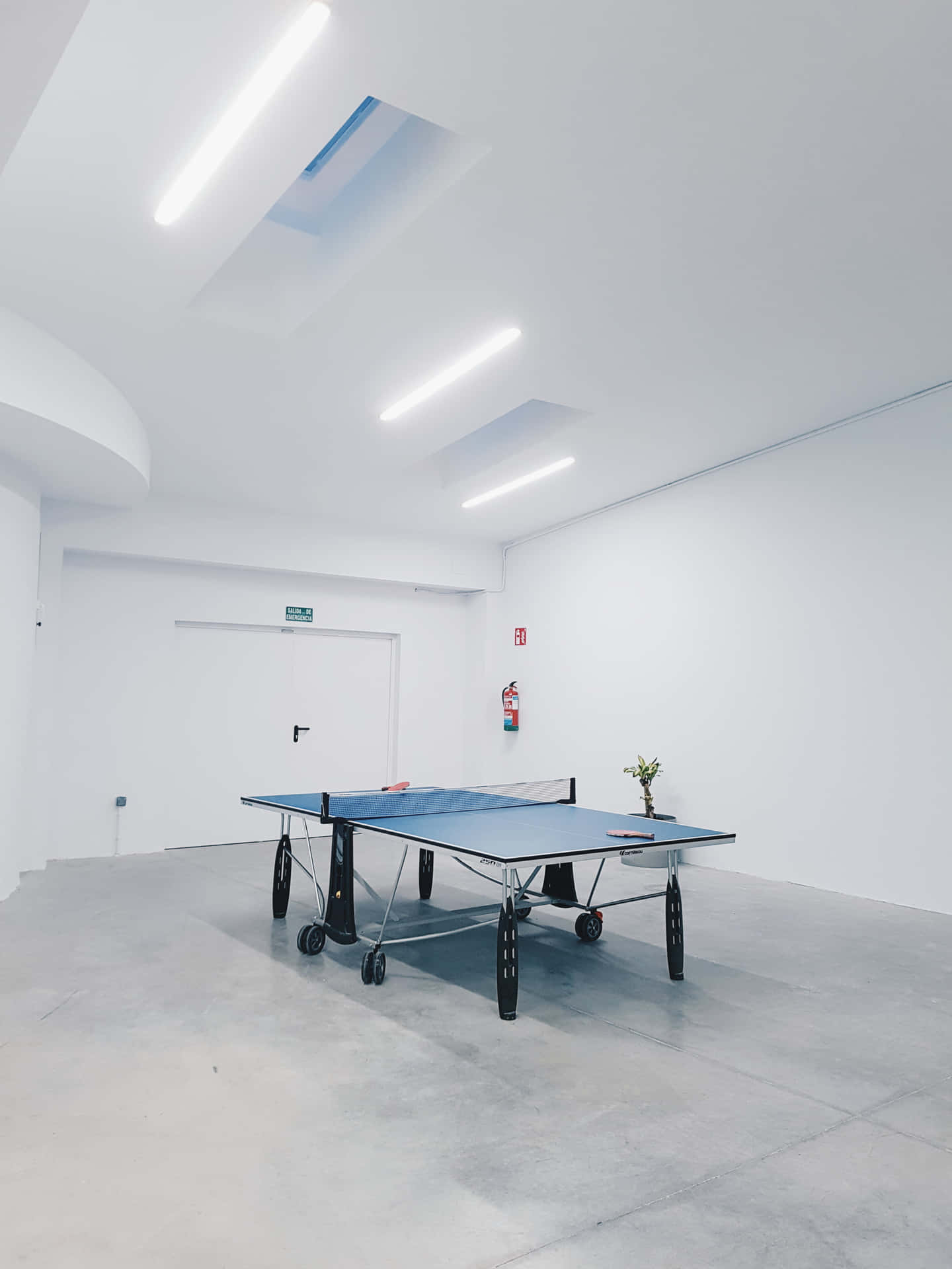 Get Ready for the Ultimate Table Tennis Adventure