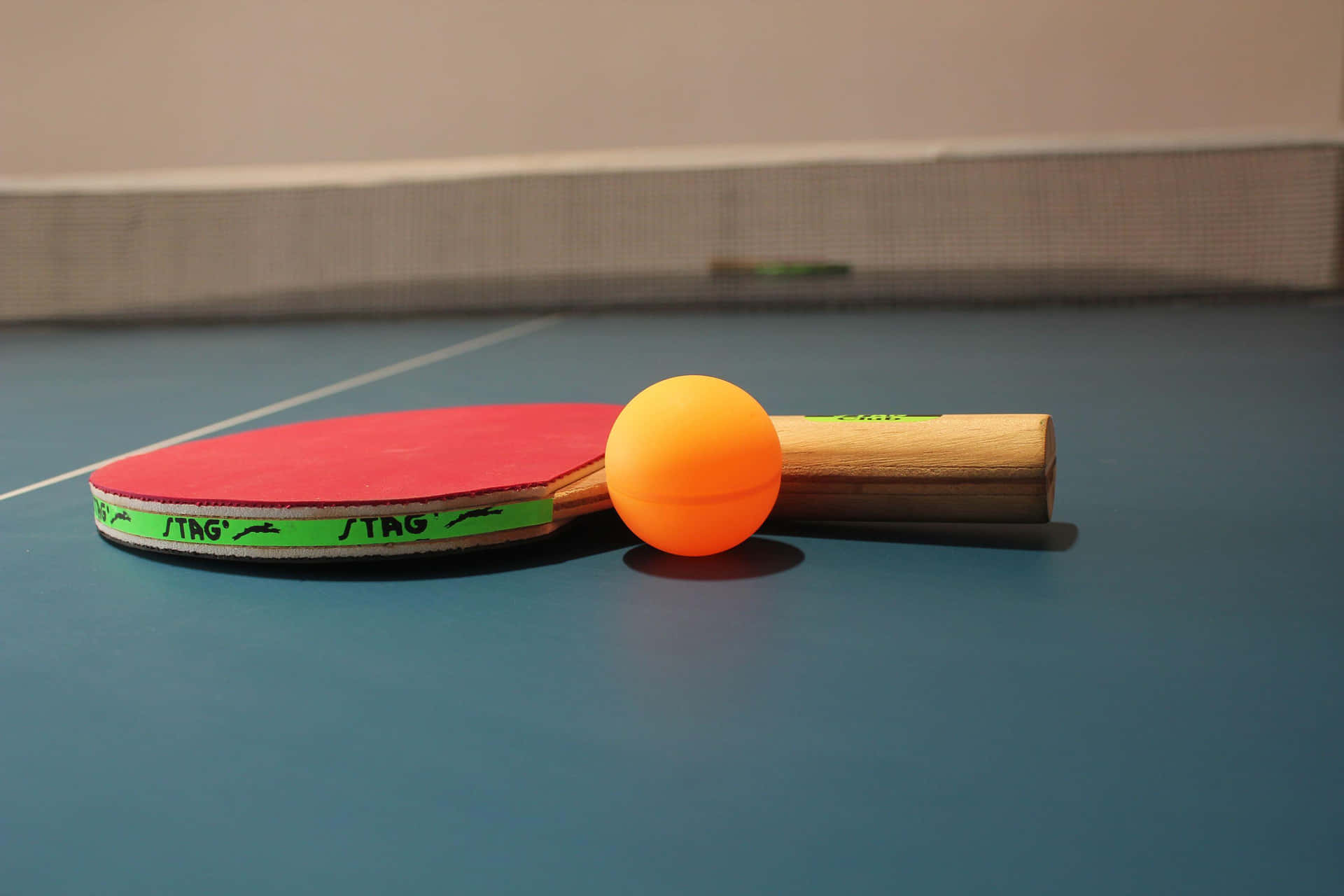 Get ready for an exhilarating table tennis match!