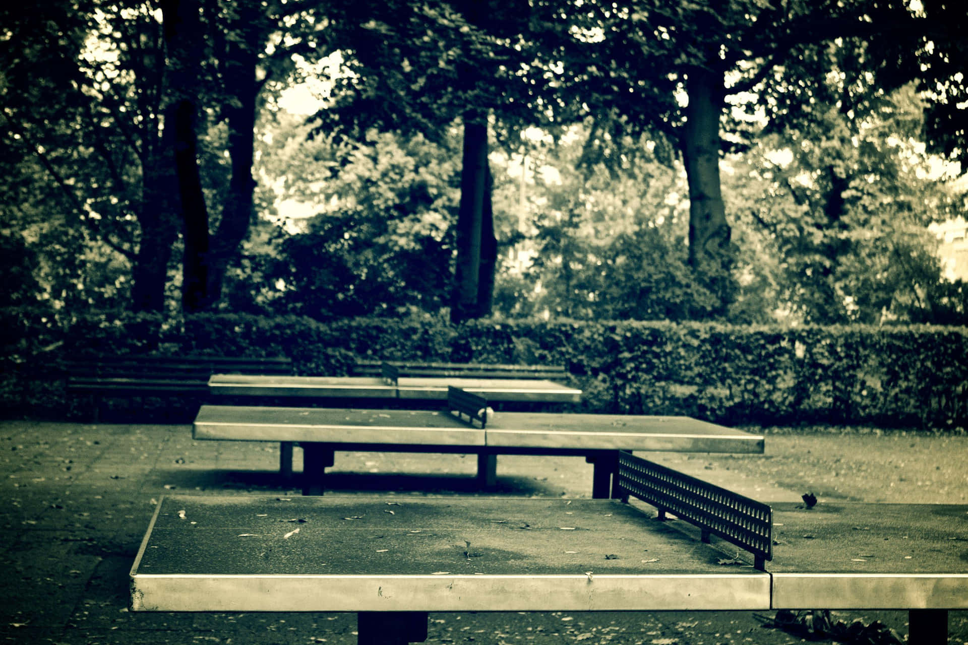 Ping Pong Tables In The Park