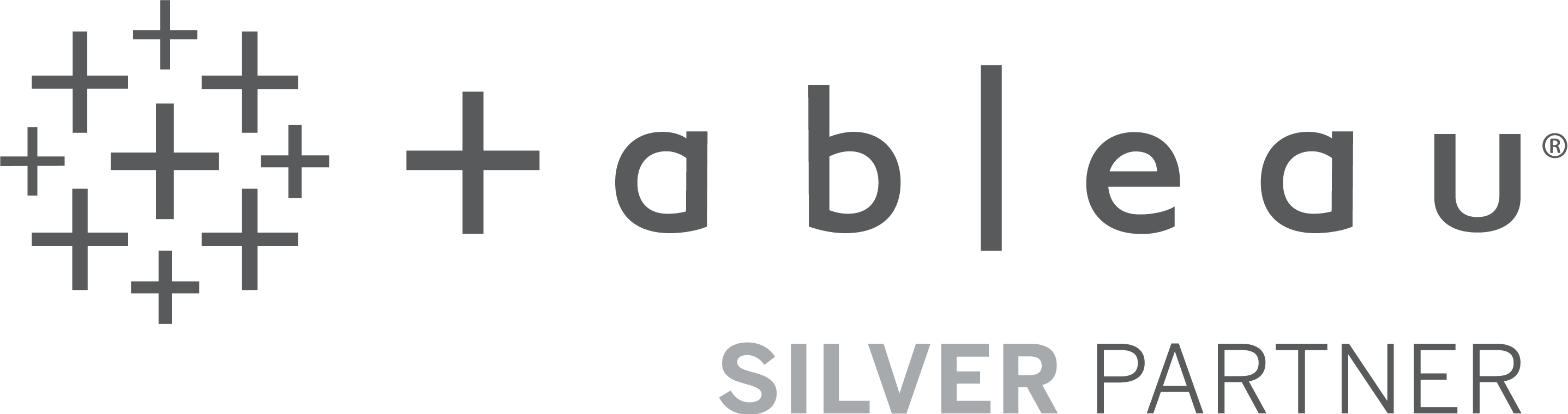 Tableau Software Silver Partner Logo PNG