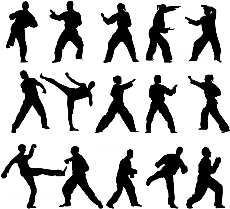 Taekwondo Silhouettes Set PNG