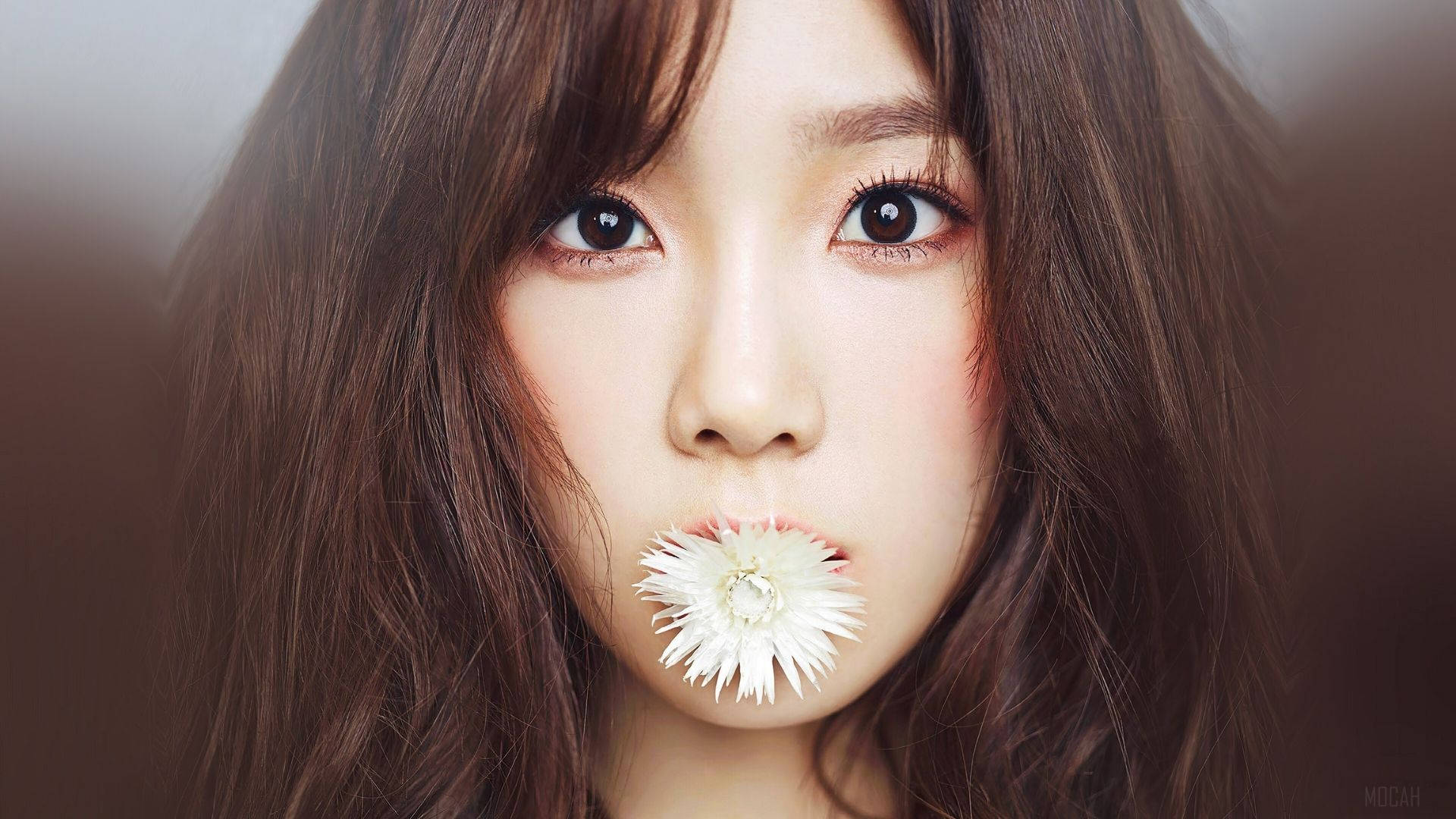 Taeyeonbeißt In Eine Blume. Wallpaper