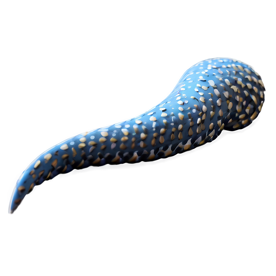 Tail B PNG