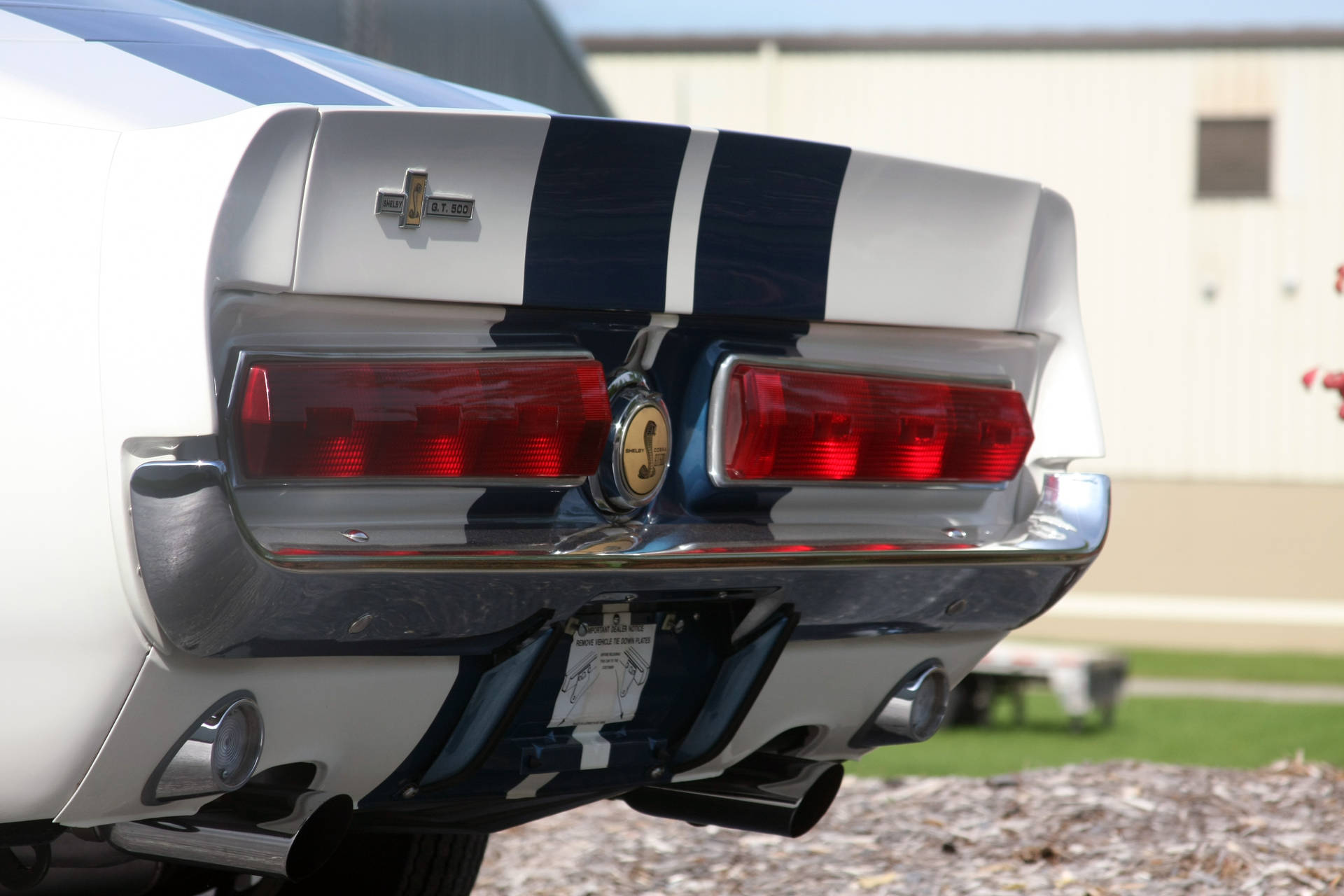 Taillight Of Shelby Iphone - width=