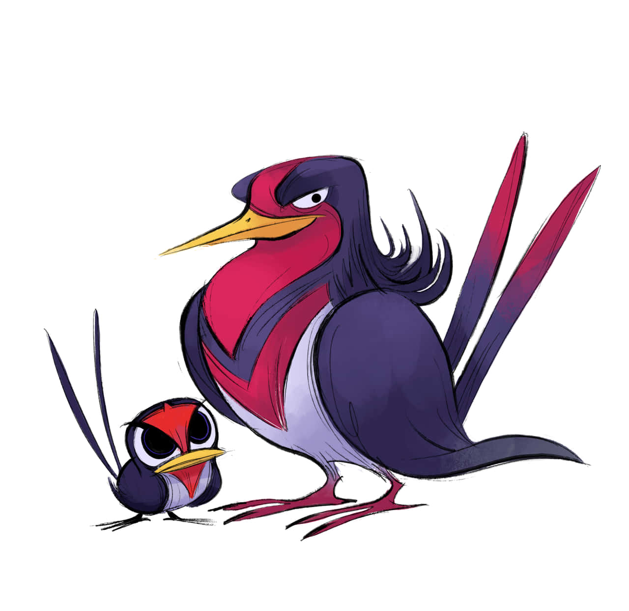 Taillow And Swellow Looks Mad Wallpaper