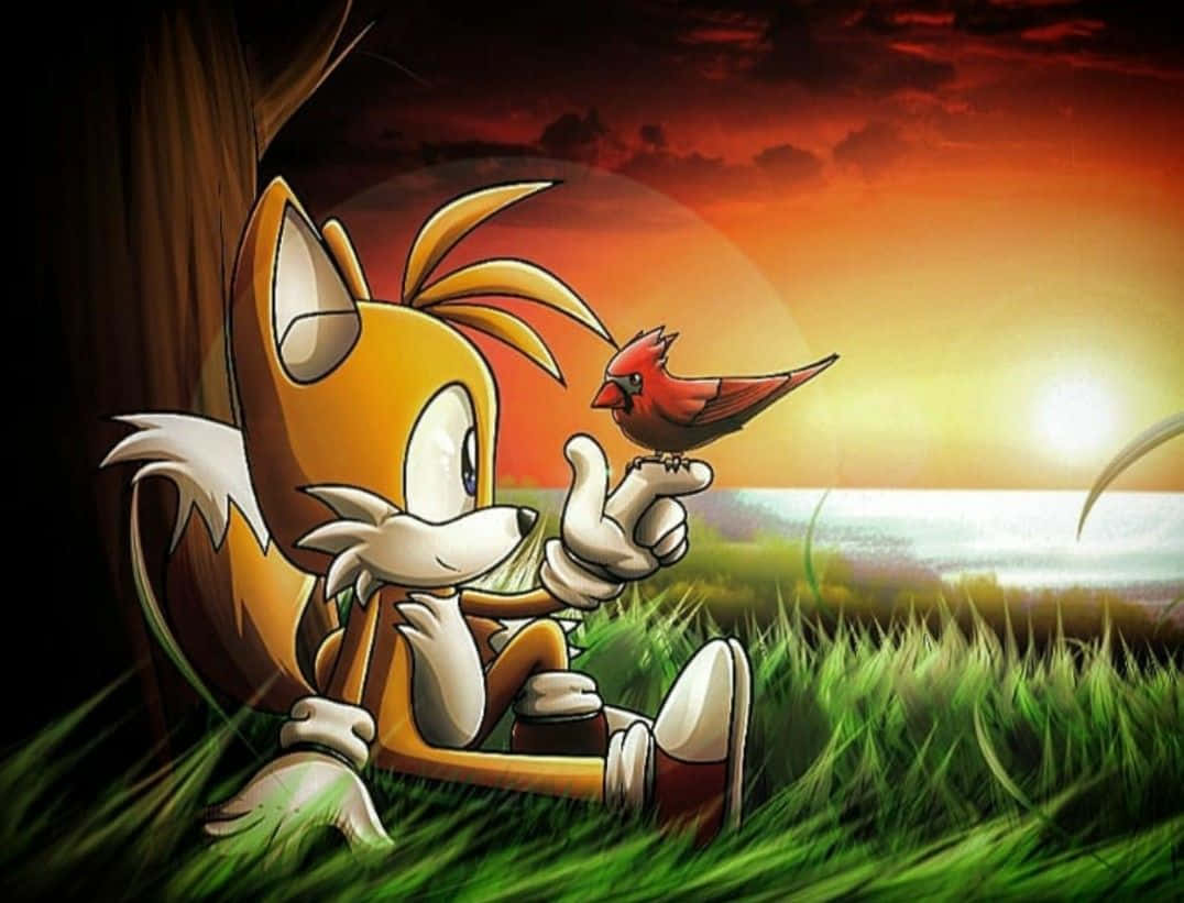 Bilden Närbild På Sonics Kompis, Tails. Wallpaper