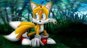Look into the Wild with Tails Wallpaper