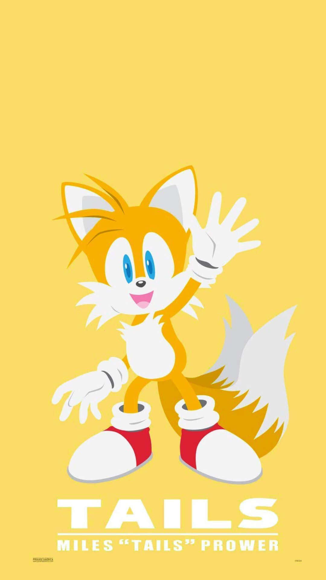 Sonic'spålitliga Följeslagare Tails. Wallpaper
