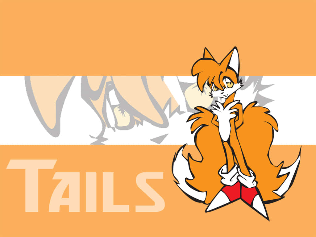 A happy fox with a fluffy orange tail Wallpaper