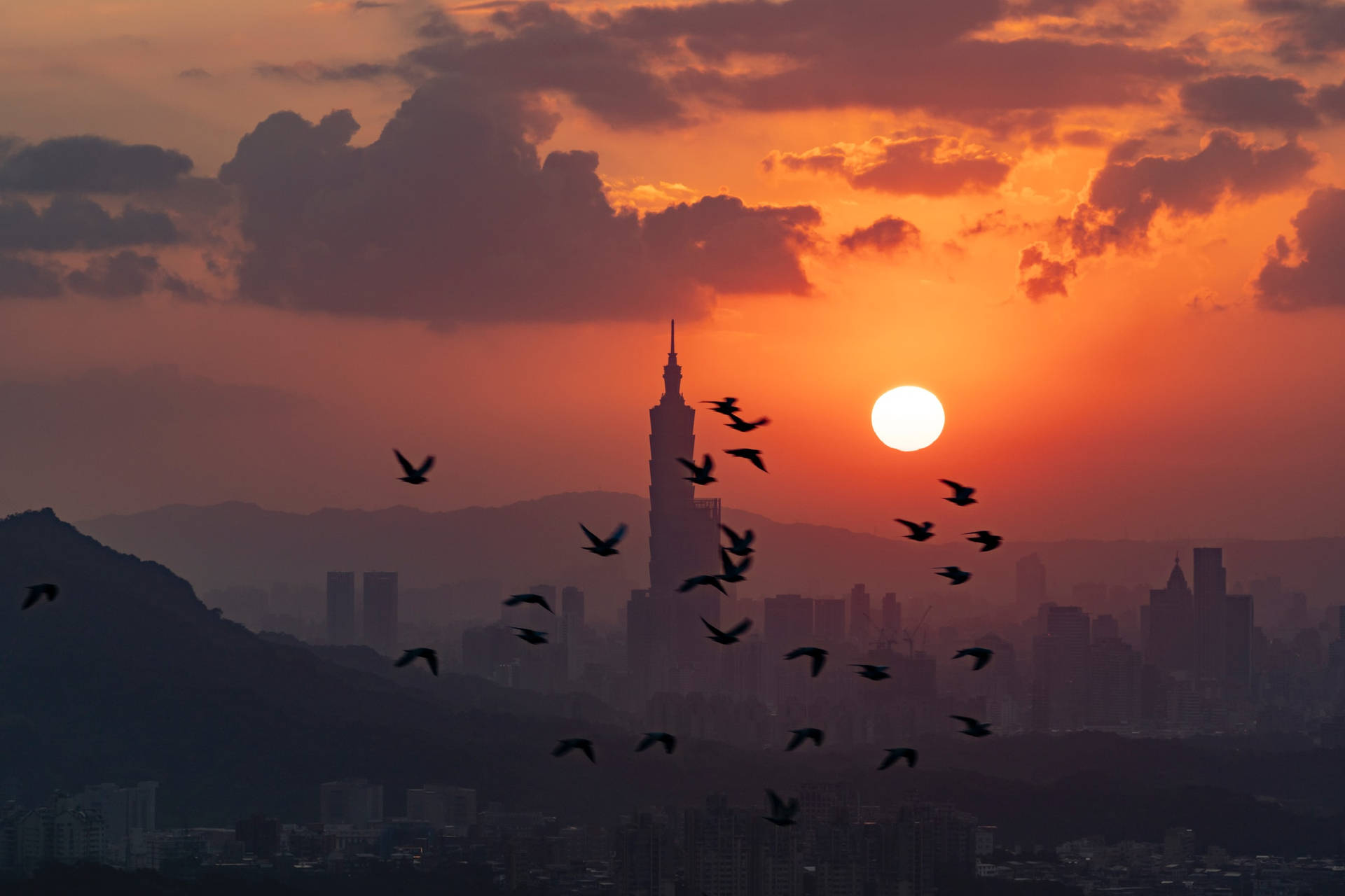 Pôrdo Sol De Taipei E Pássaros. Papel de Parede