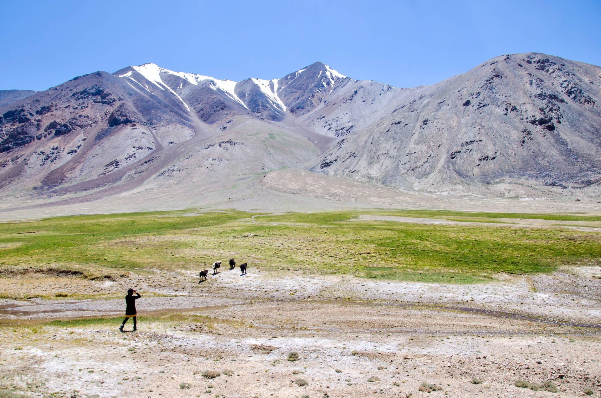 Scenen Tadsjikistan Pamirbjergene Shepherd Tapet Wallpaper