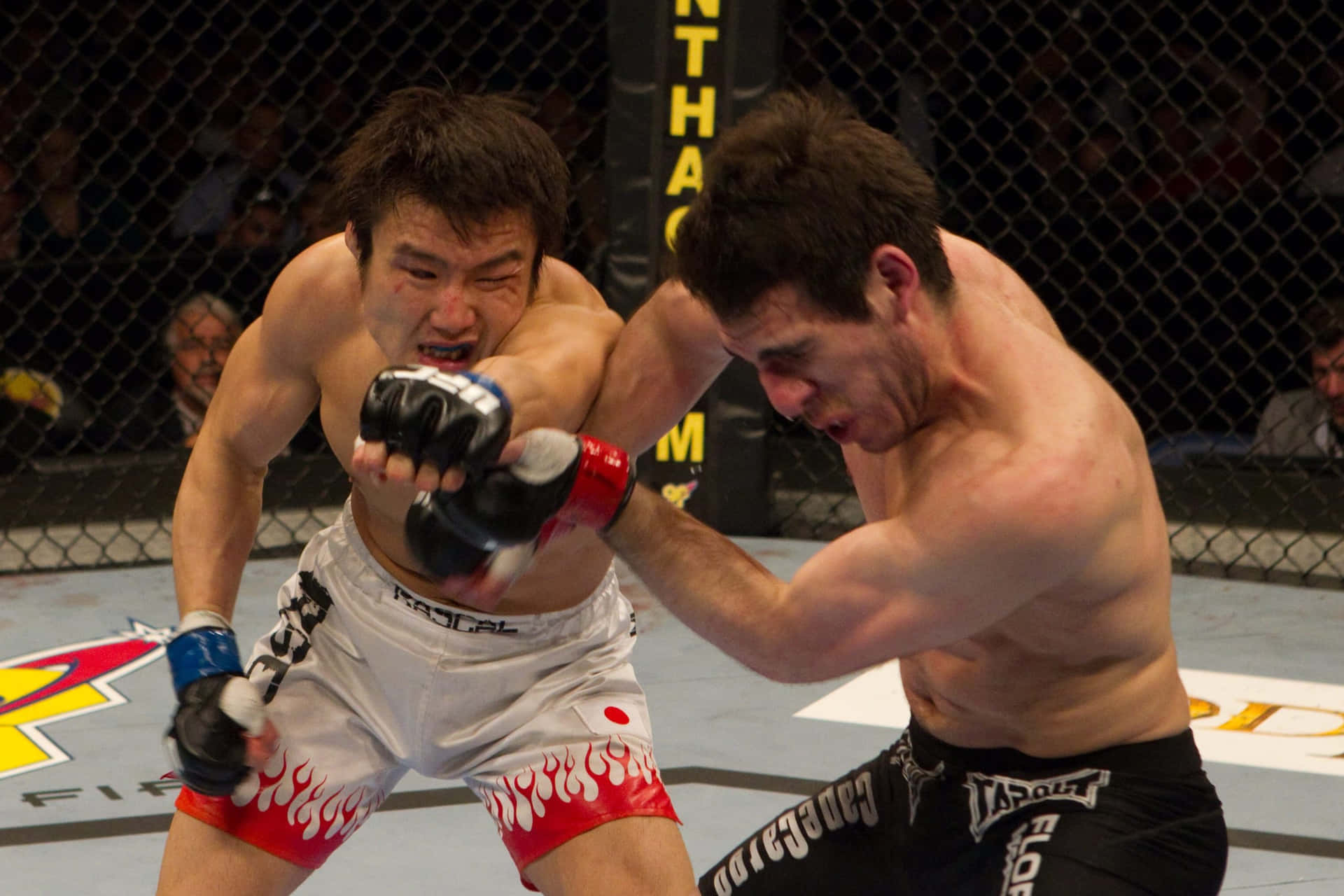 Takanori Gomi mod Kenny Florian 2010 UFC debut. Wallpaper