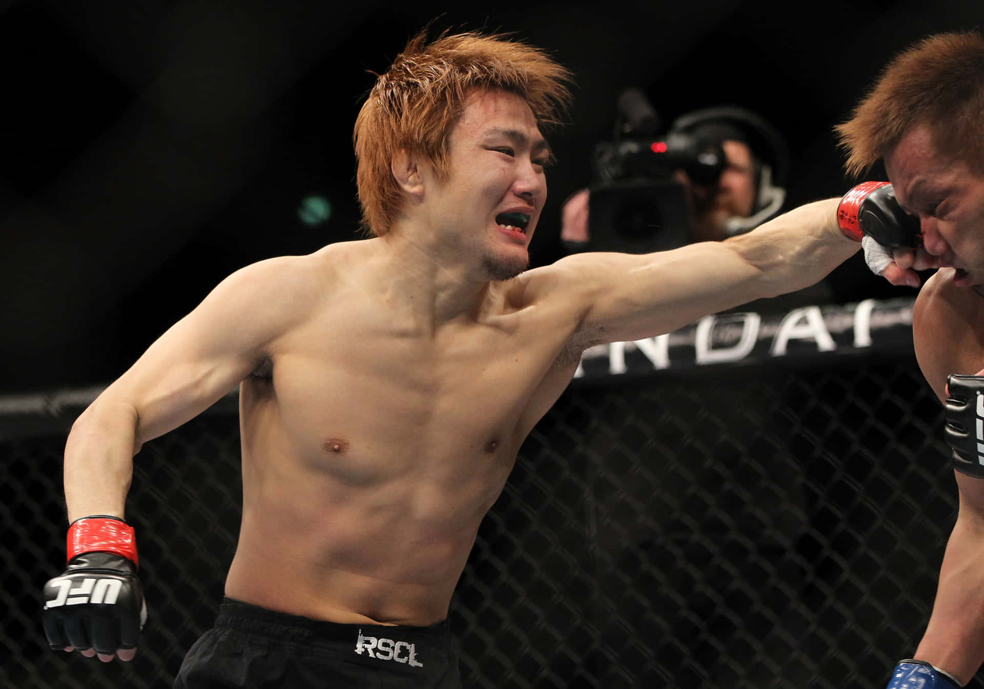 Takanori Gomi Punching Eiji Mitsuoka UFC 144 Wallpaper