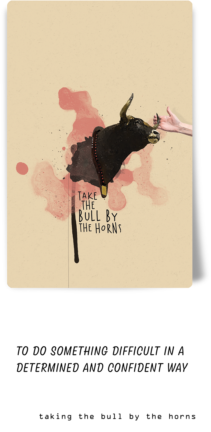Take The Bull By The Horns Notebook Cover PNG