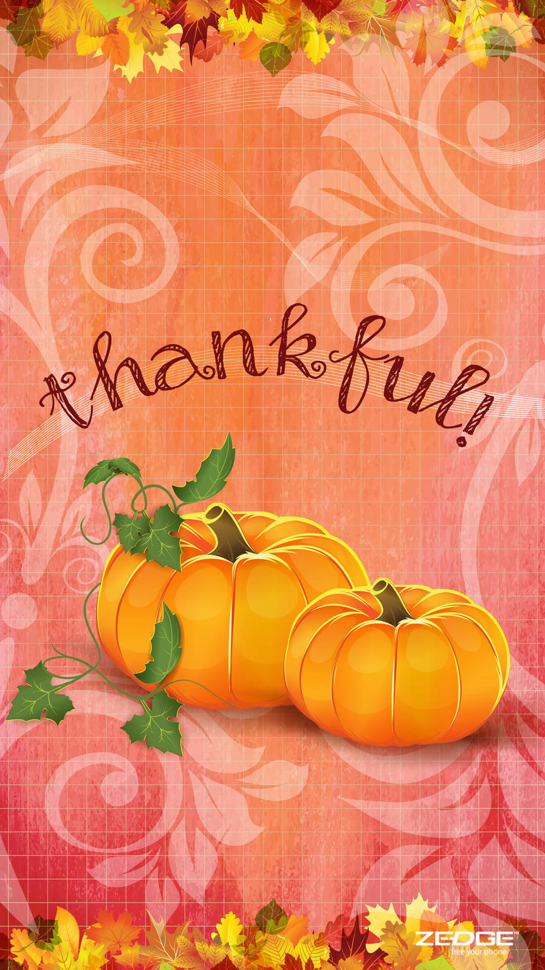 Taknemmelig Græskar Thanksgiving Iphone Wallpaper