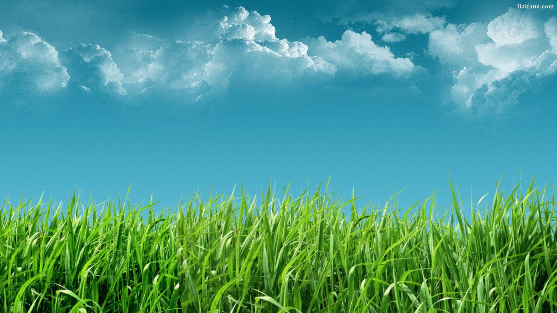 🔥 Grass Mat Texture Green Background HD Images Free | CBEditz