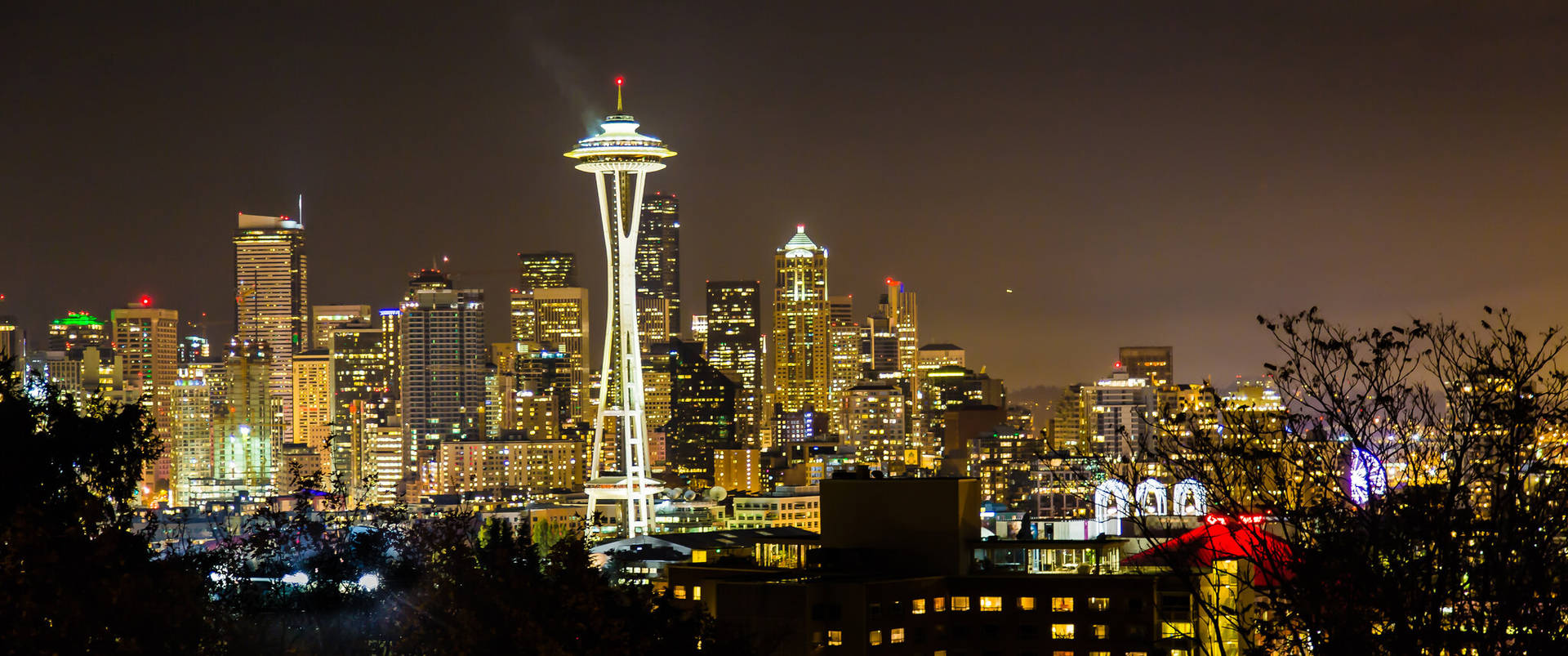 Altaaguja Espacial Skyline De Seattle Washington Fondo de pantalla