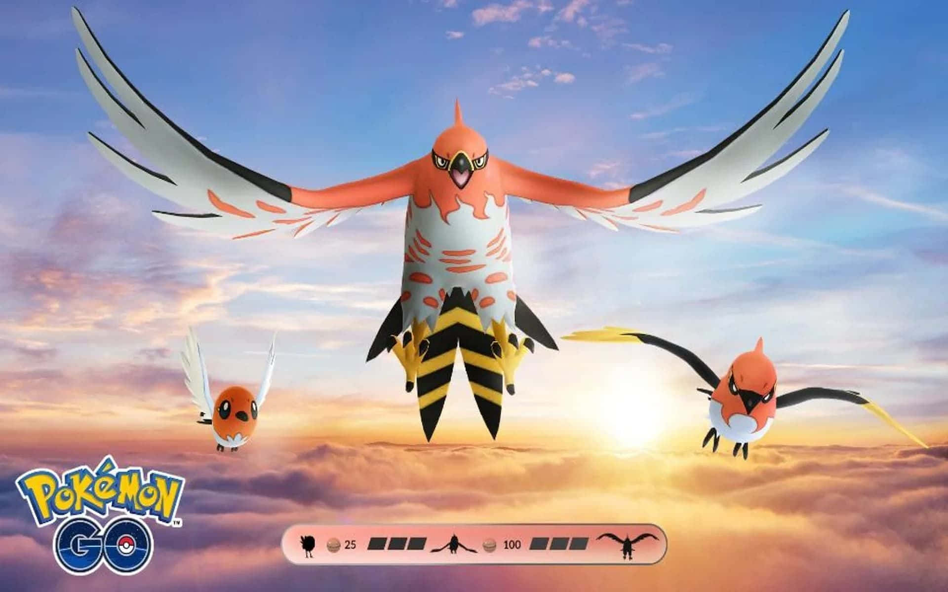 Talonflame Evolution Pokemon Go Wallpaper