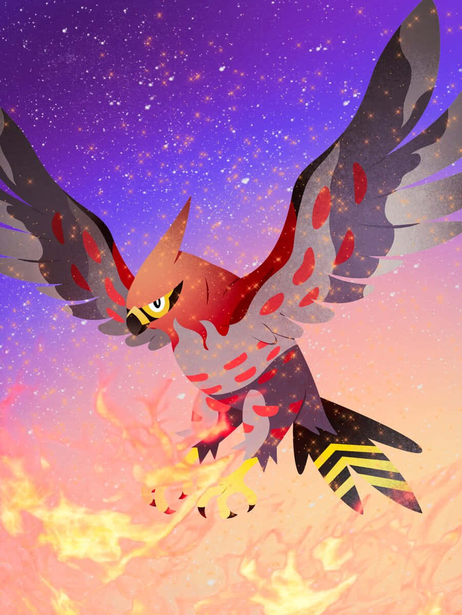 Talonflame Fire Sky Illustration Wallpaper