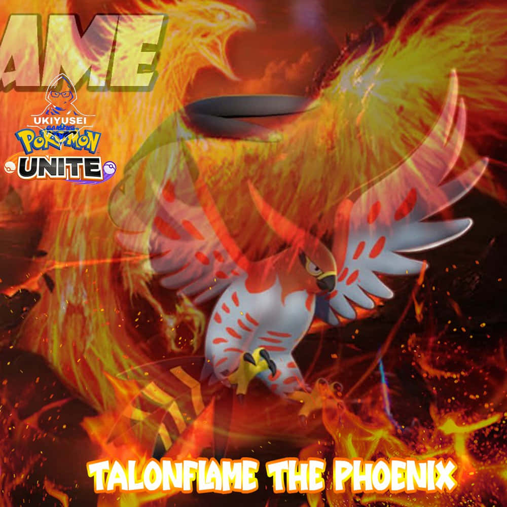 Talonflame Phoenix Pokemon Unite Wallpaper