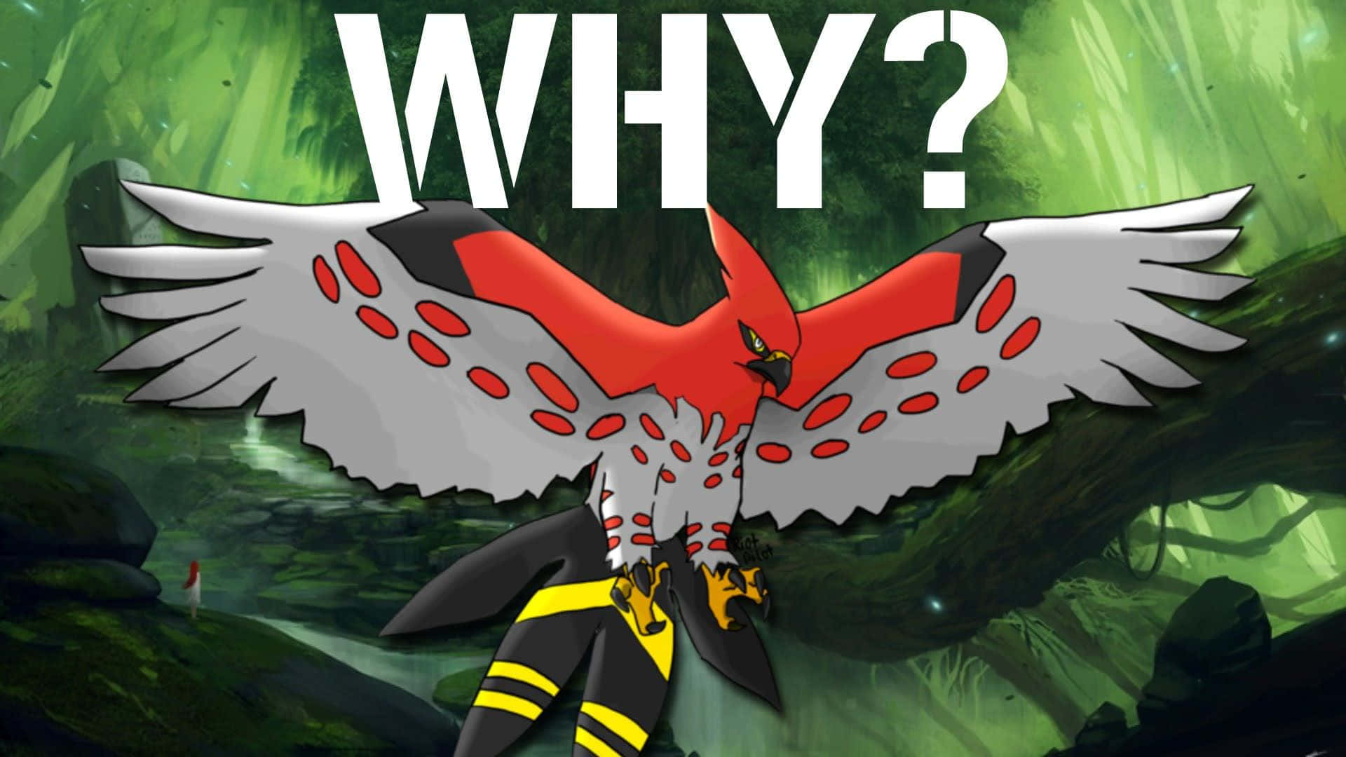 Talonflame Questioning Why Wallpaper