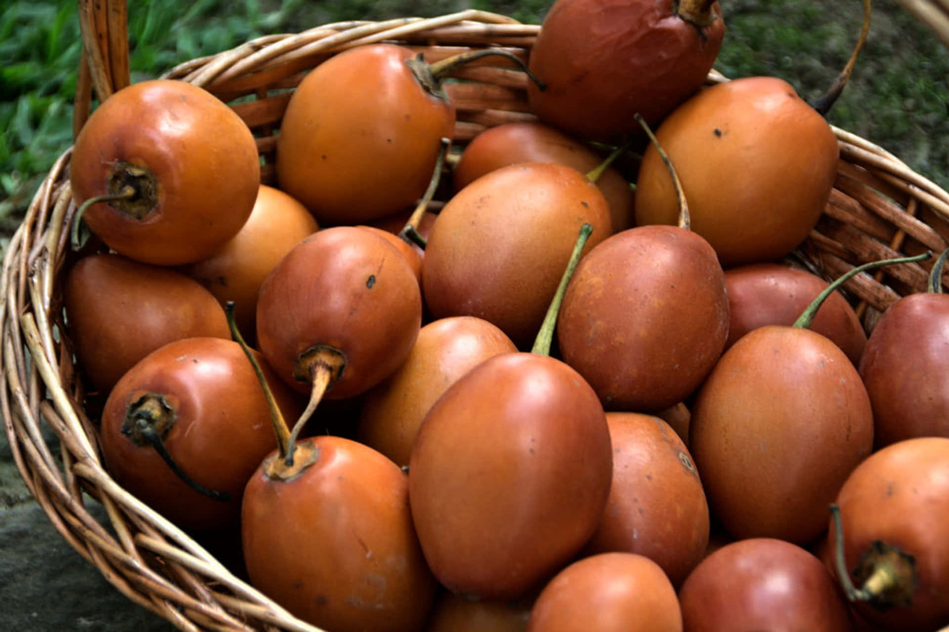 Tamarilo Tropical Fruit In A Brown Basket Picture