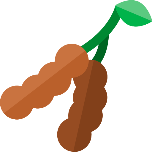 Tamarind Pod Vector Illustration PNG