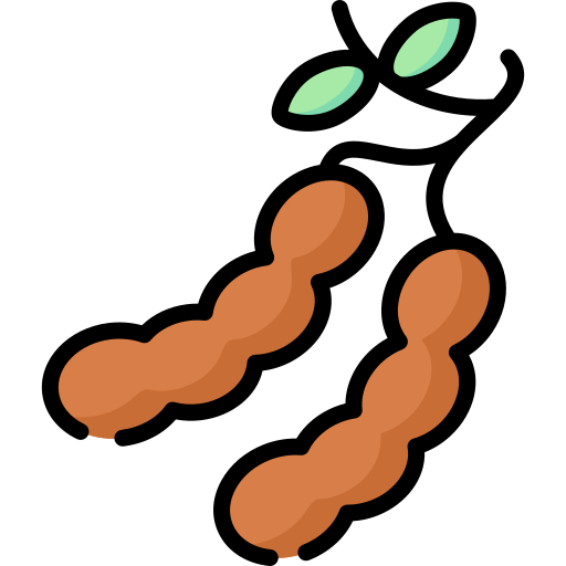 Tamarind Pod Vector Illustration PNG