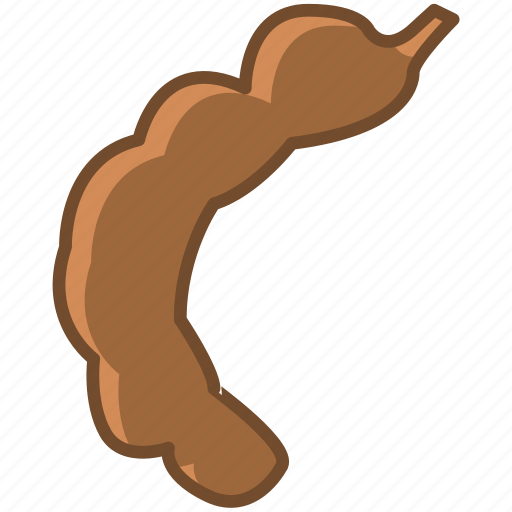 Tamarind Pod Vector Illustration PNG