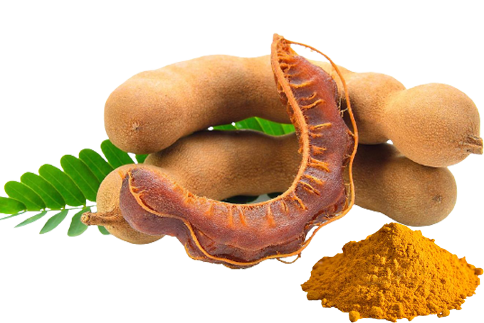 Tamarind Pods Leavesand Powder PNG