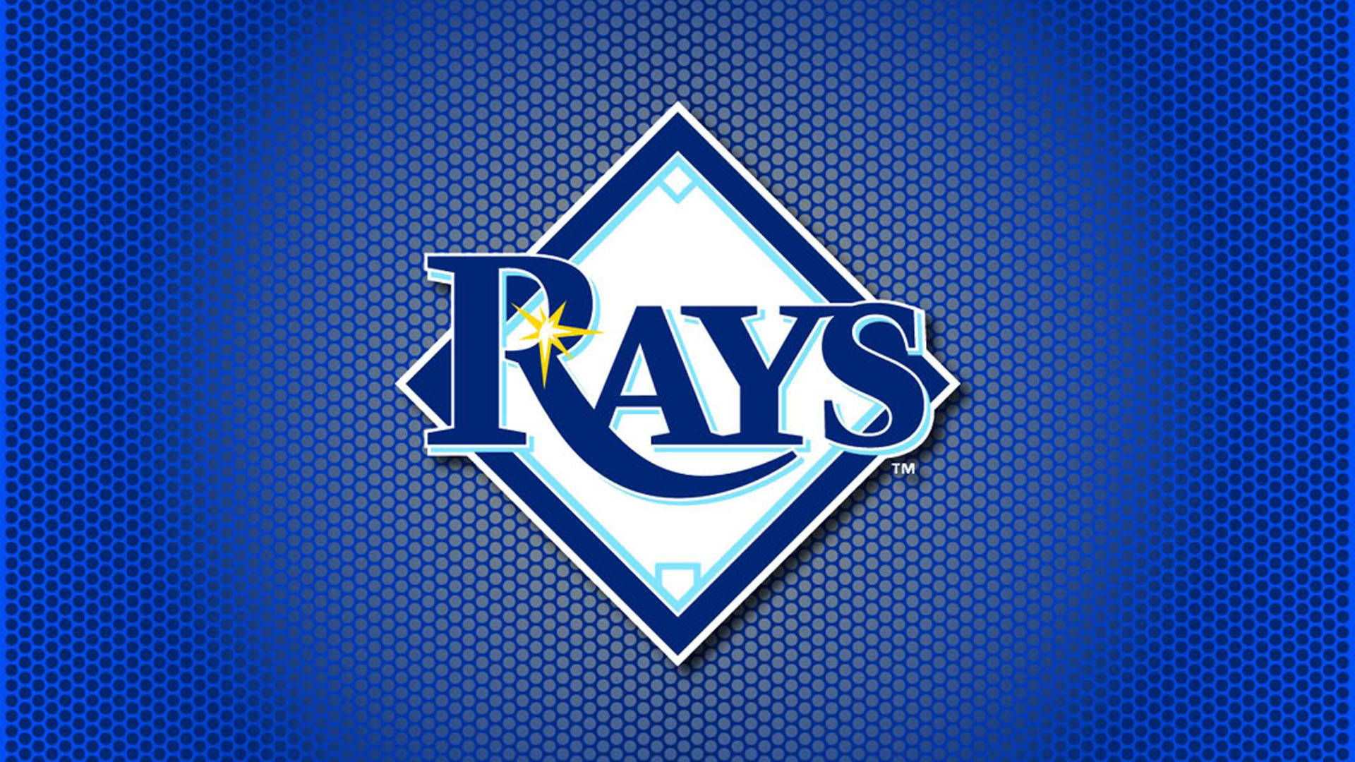 Tampa Bay Rays Baseball Sport Wallpaper