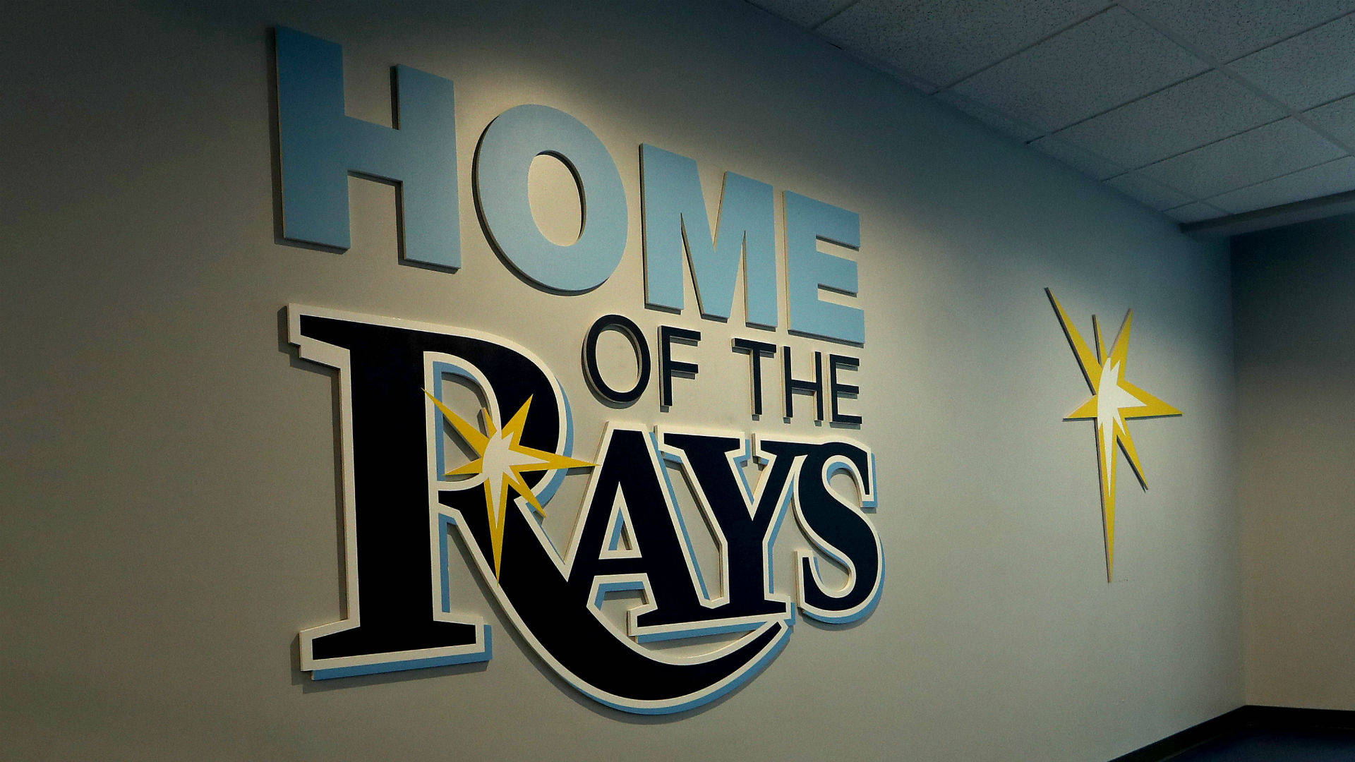 Tampa Bay Rays Baseball Team Wall Wallpaper