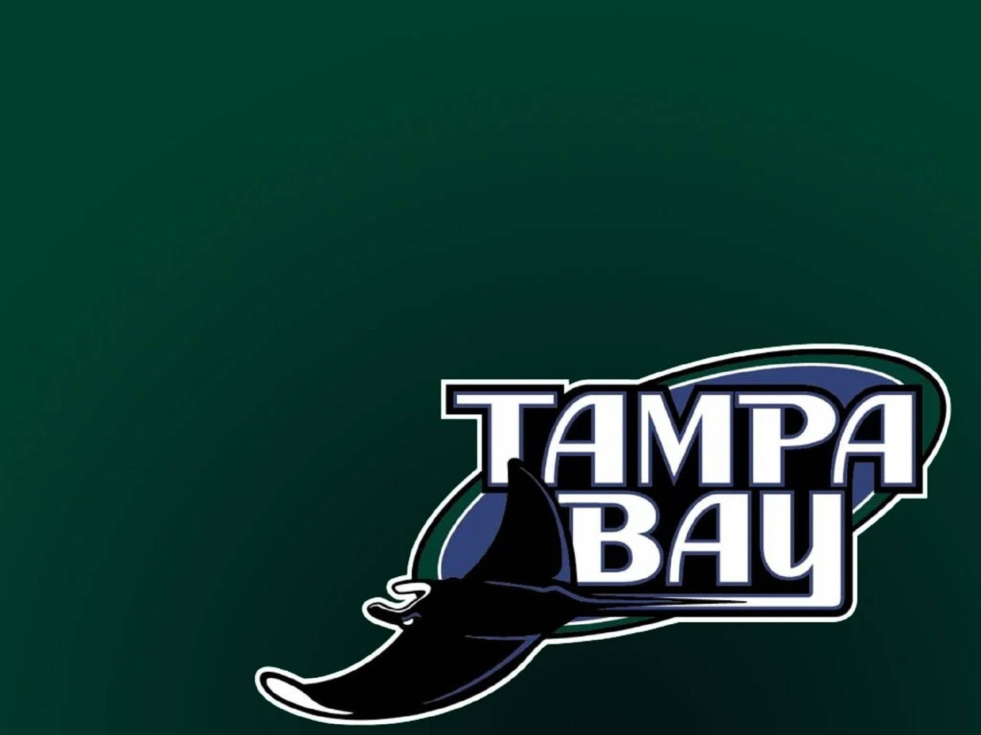 Tampa Bay Rays In Green Wallpaper