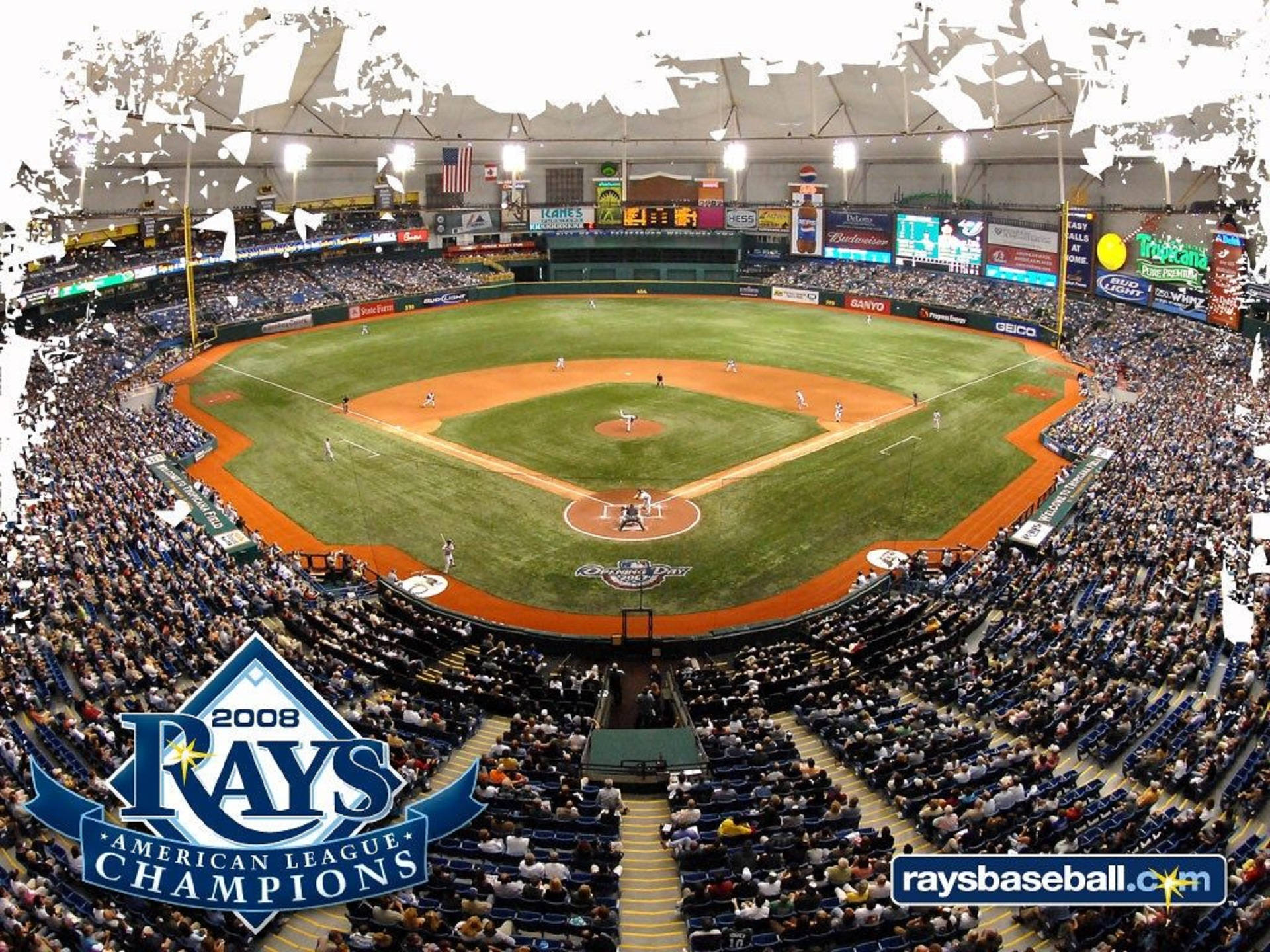 Tampa Bay Rays League Champion Poster Wallpaper