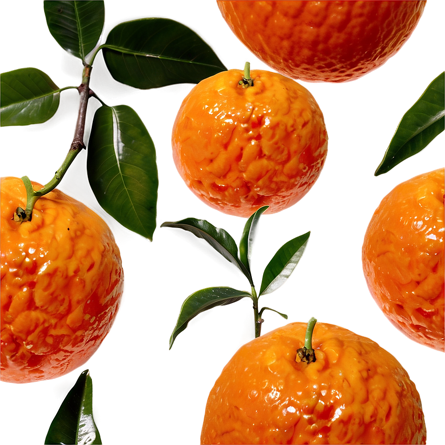 Tangerine D PNG