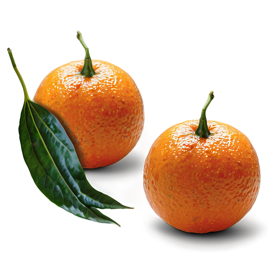 Tangerine Orange Png 8 PNG