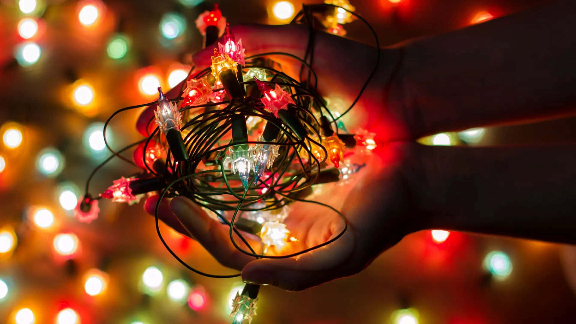 Tangled Christmas Lights Wallpaper