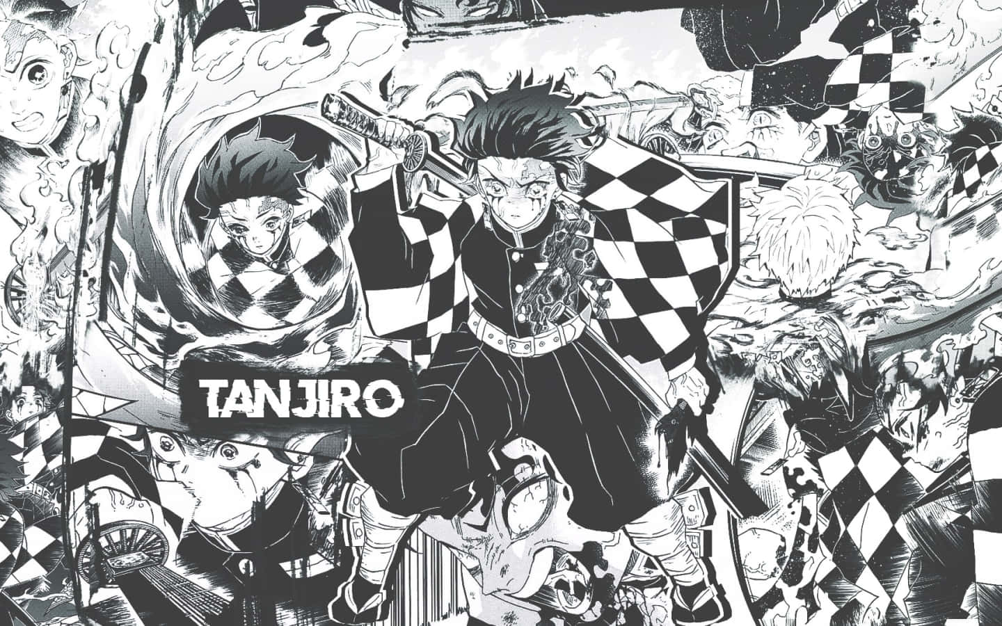 Tanjiro, the Demon Slayer