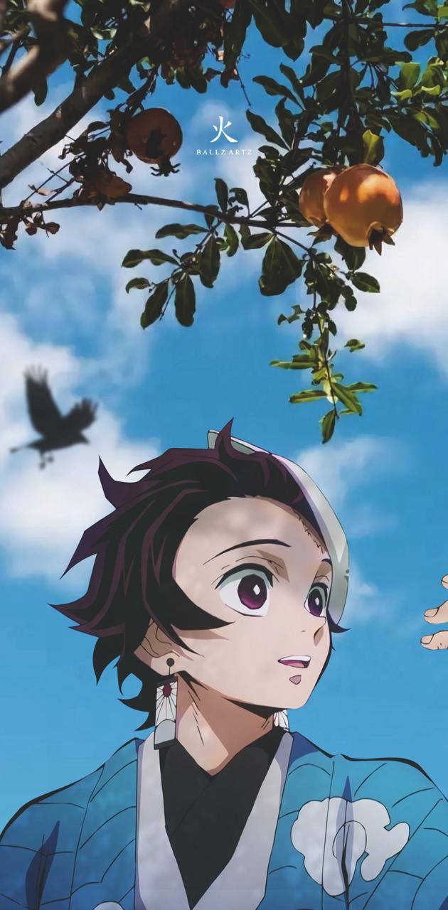 Tanjiro Aesthetic With Oranges Wallpaper