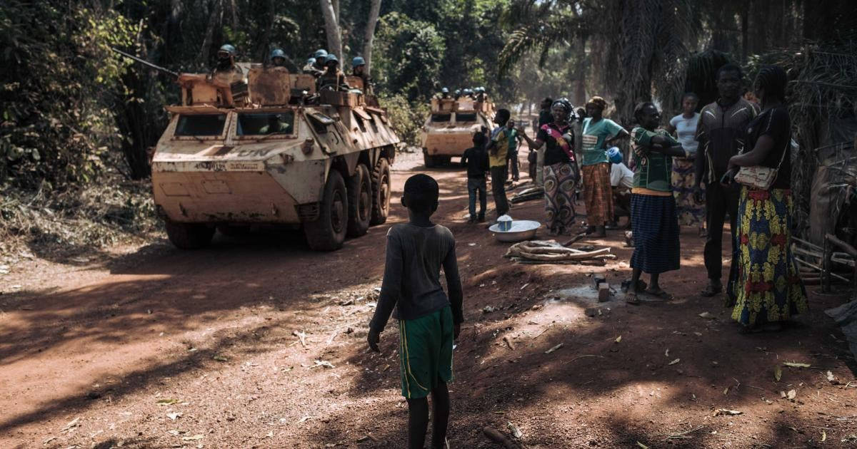 Tank In Central African Republic Forest Picture