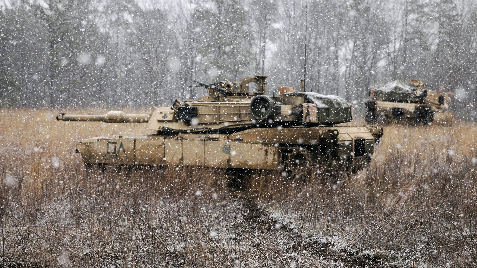 Tanks For Army In The Forest Wallpaper
