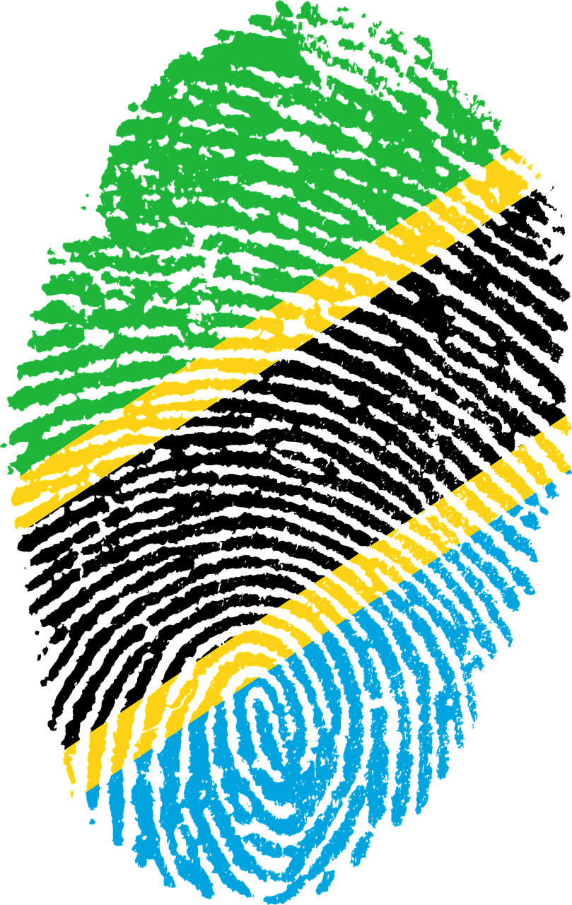 Tanzania Flag Fingerprint Illustration PNG