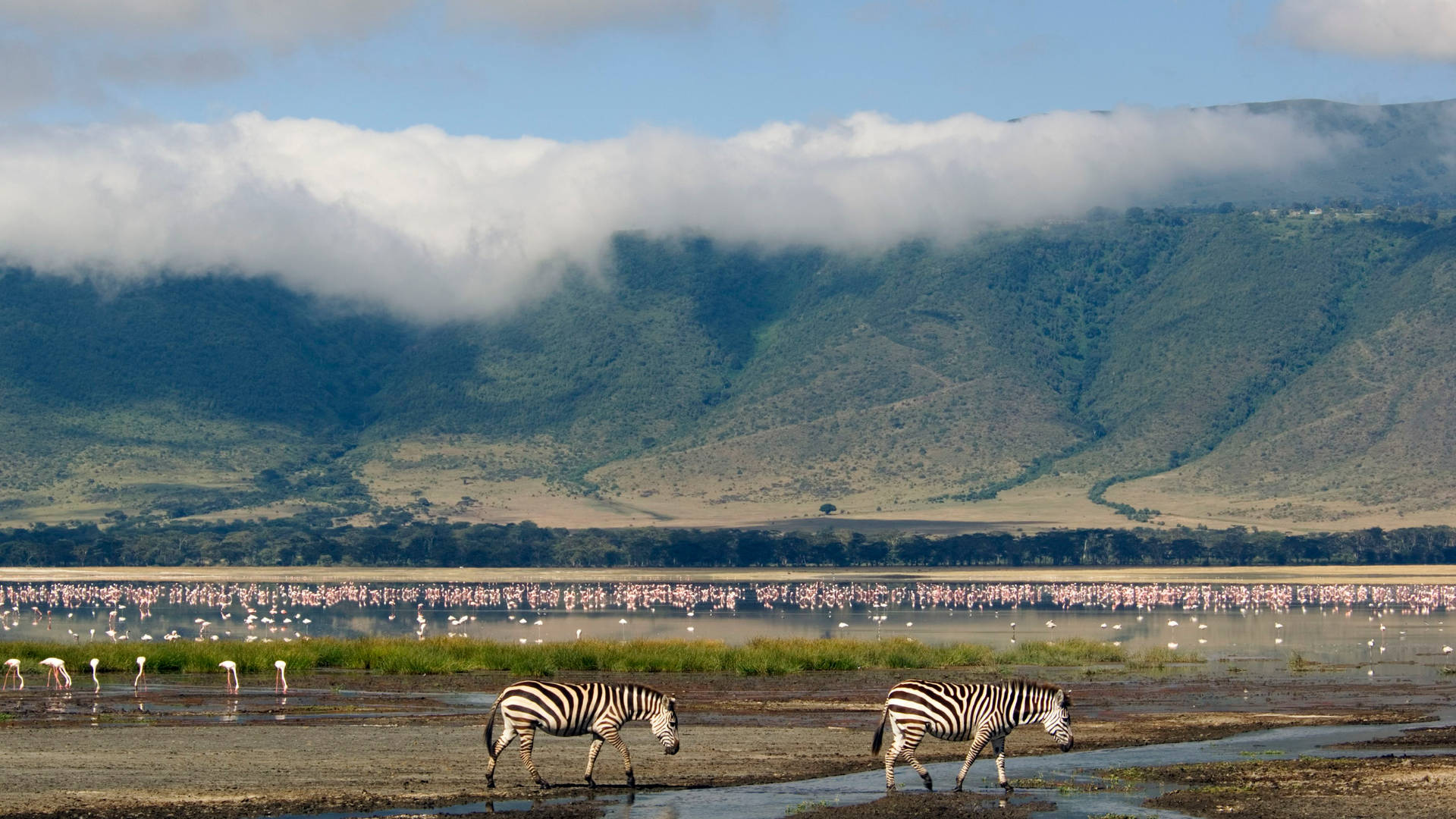 Área De Conservação De Ngorongoro Na Tanzânia. Papel de Parede