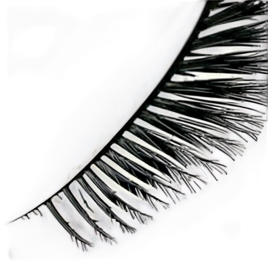 Tapered End Lashes Png 05252024 PNG