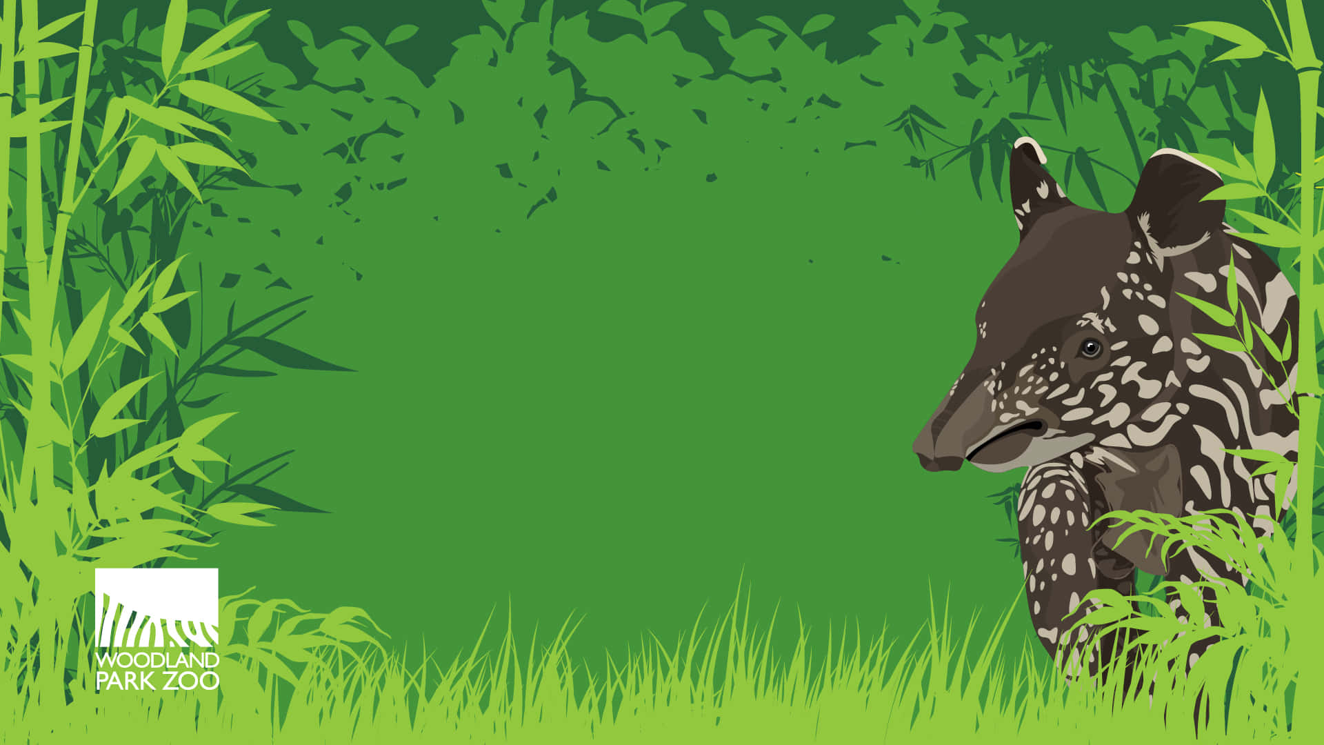 Artede Tapir Del Zoológico Woodland. Fondo de pantalla