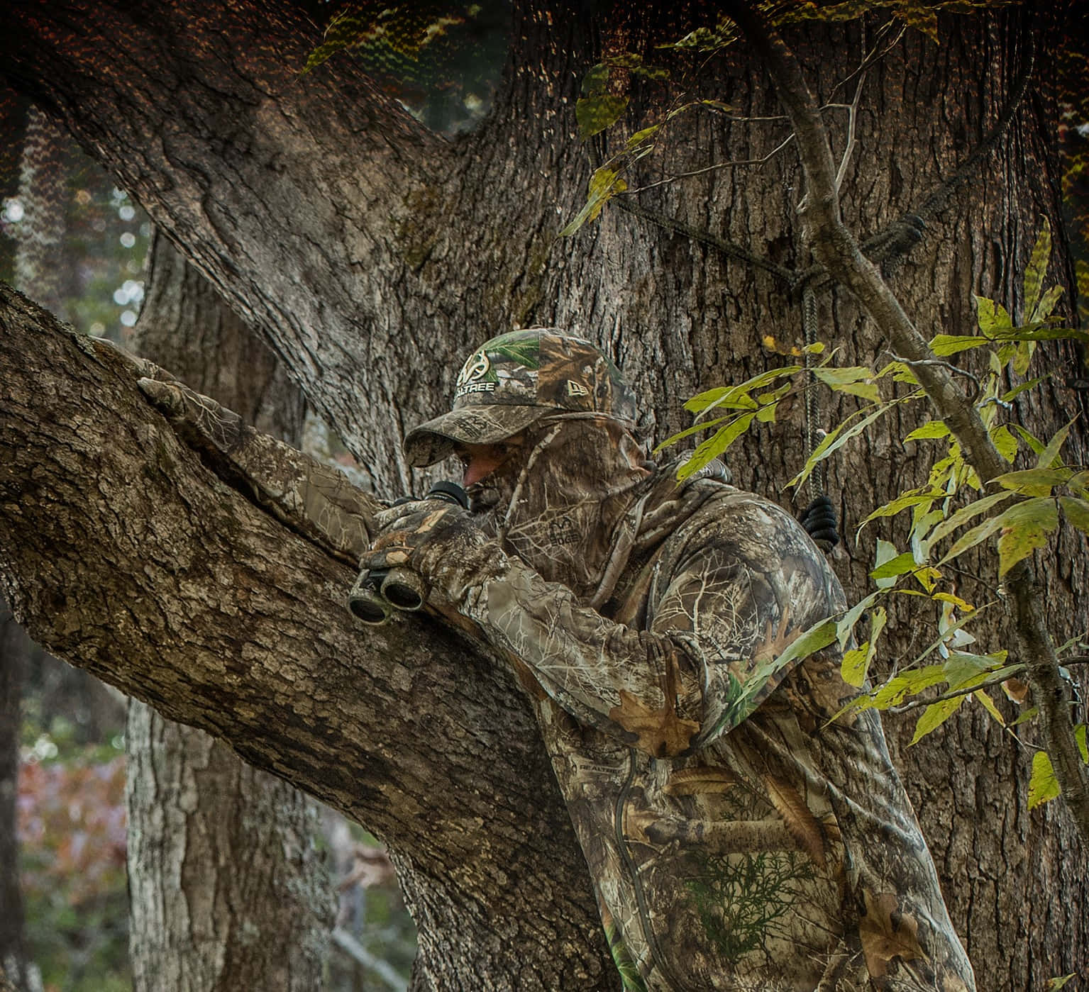 Downloaden Sie Kostenlose Tarnfarbe Für Die JagdWallpaper, [100+] Tarnfarbe Für Die Jagd