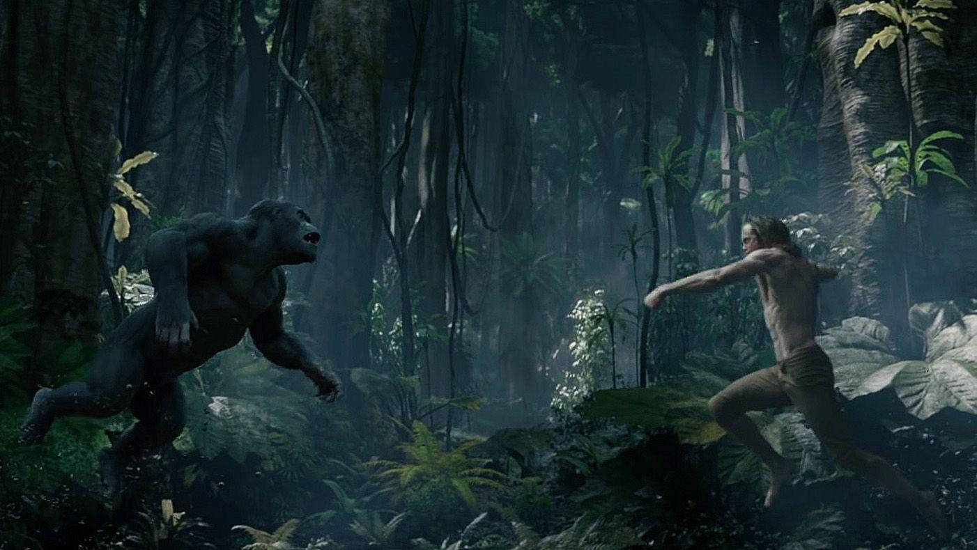Tarzan Kæmper Rasende Terk Wallpaper