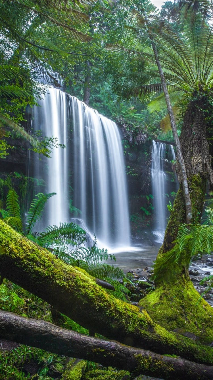Tasmanienmount Field Waterfalls. Wallpaper