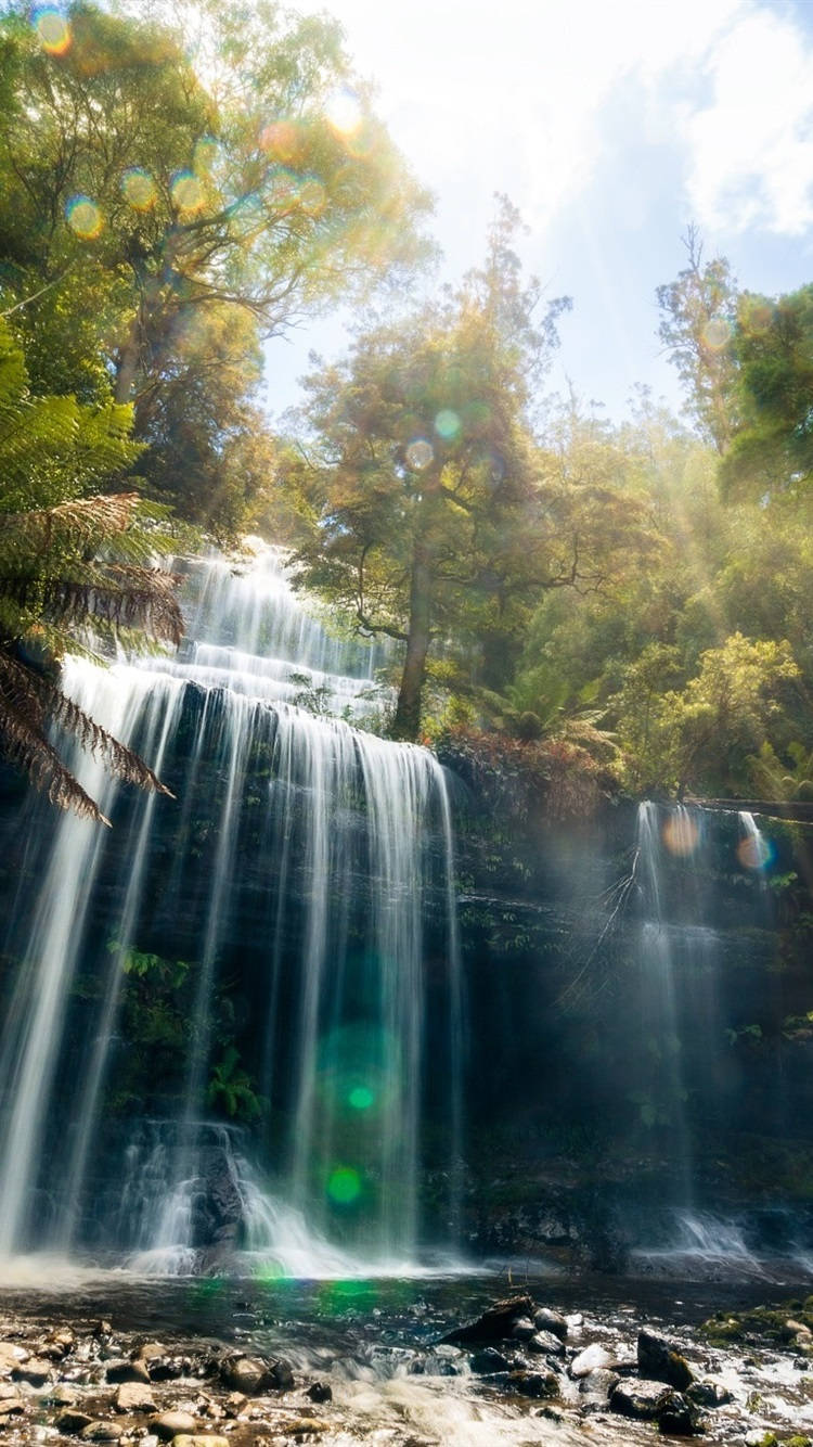 Tasmania Waterfalls Wallpaper